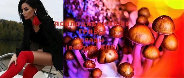 спиды Ельня