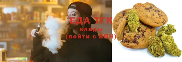 спиды Ельня
