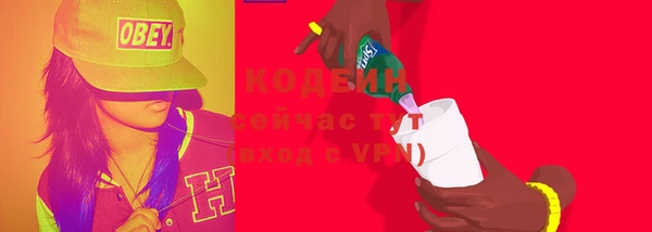 спиды Ельня