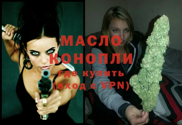спиды Ельня