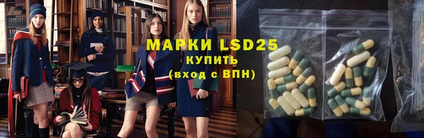 спиды Ельня