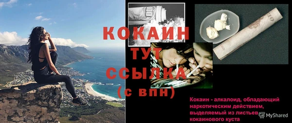 спиды Ельня