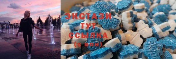 спиды Ельня