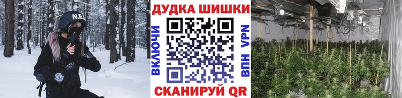купить наркоту  Киселёвск  Марихуана AK-47 